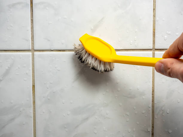 Best Water Damage Restoration  in New Union, TN