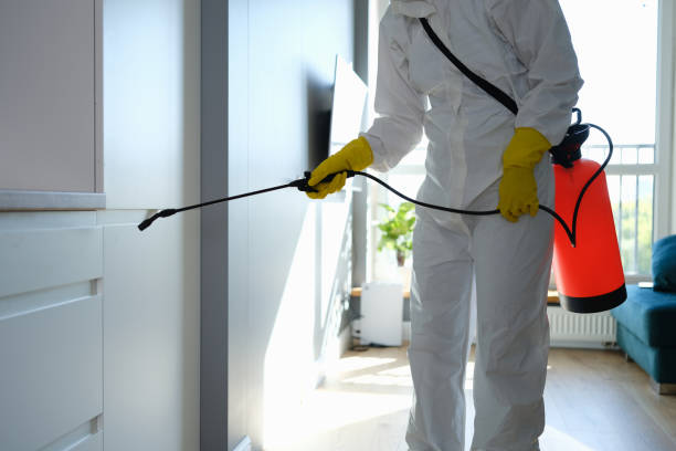 Best Crawl Space Mold Removal  in New Union, TN